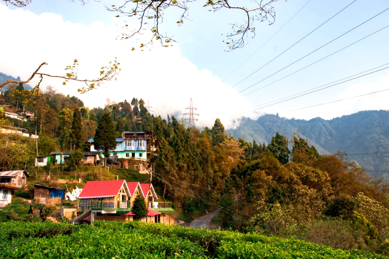 6df9bb96-eee8-419c-bbdb-c2308b104eac