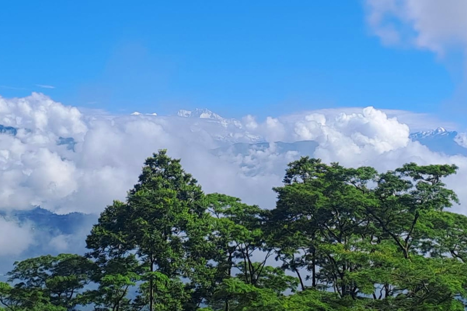 76596f78-d27f-4723-996e-82a04cf88ce1