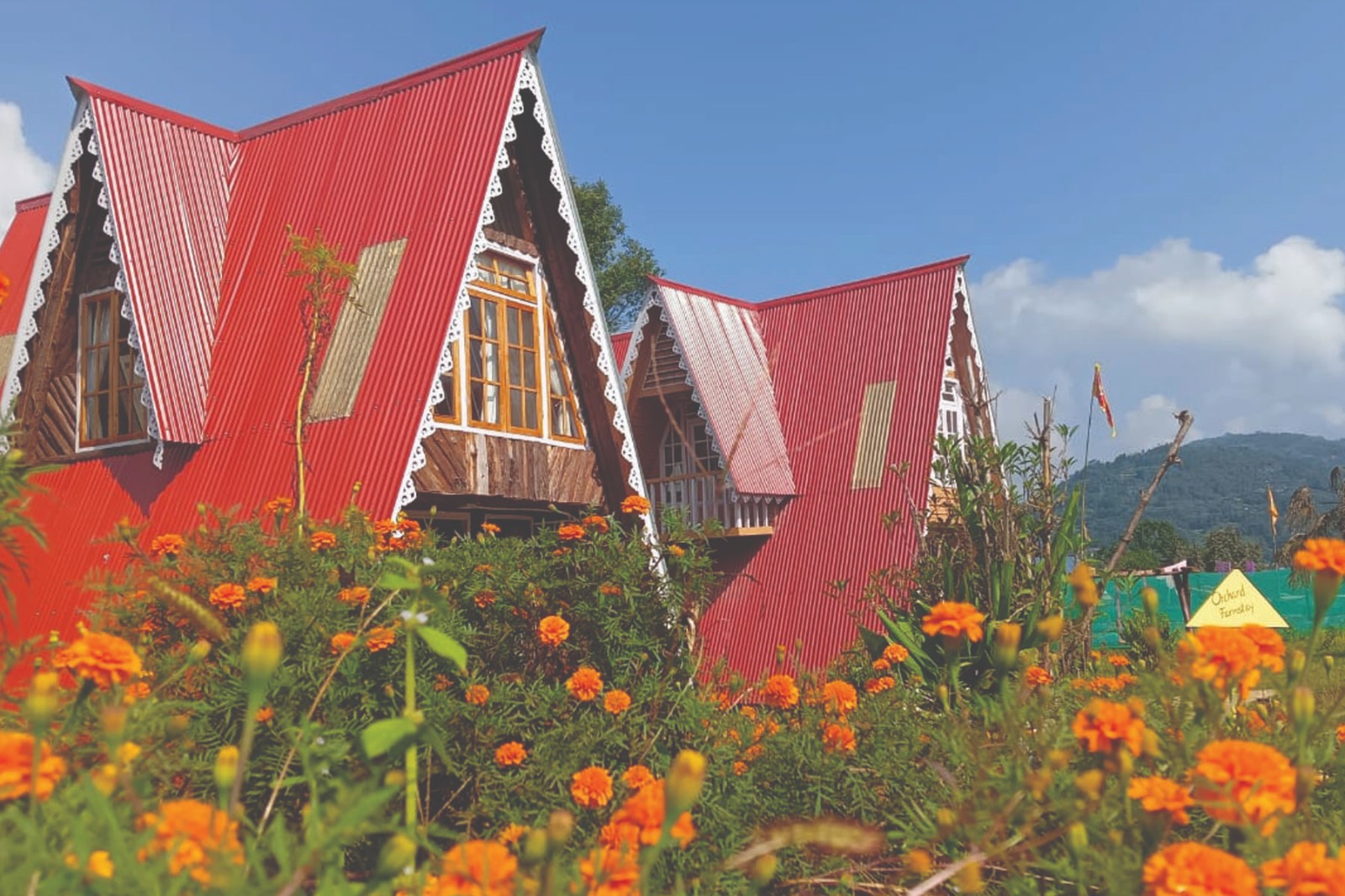 8fbfe55d-dc93-4ff4-984e-ecb92eeb435f