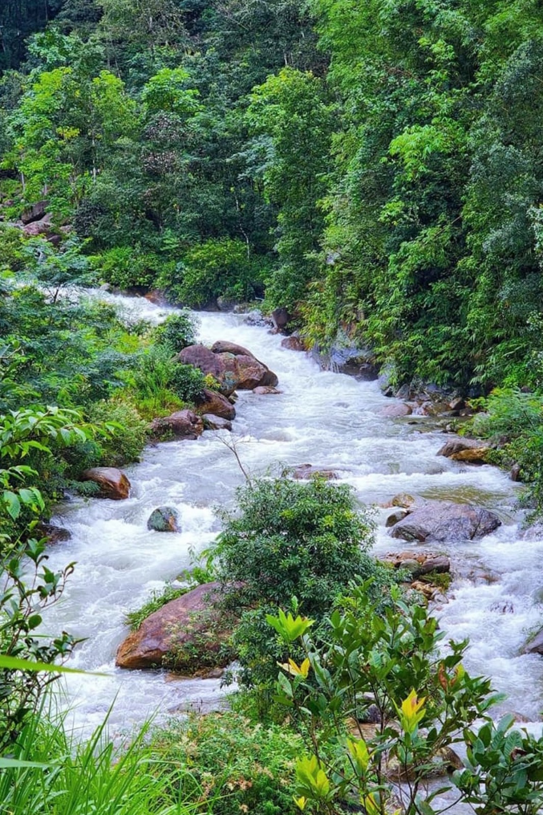 9daa38b4-6b44-449e-951d-fa6ce9c8c4f3