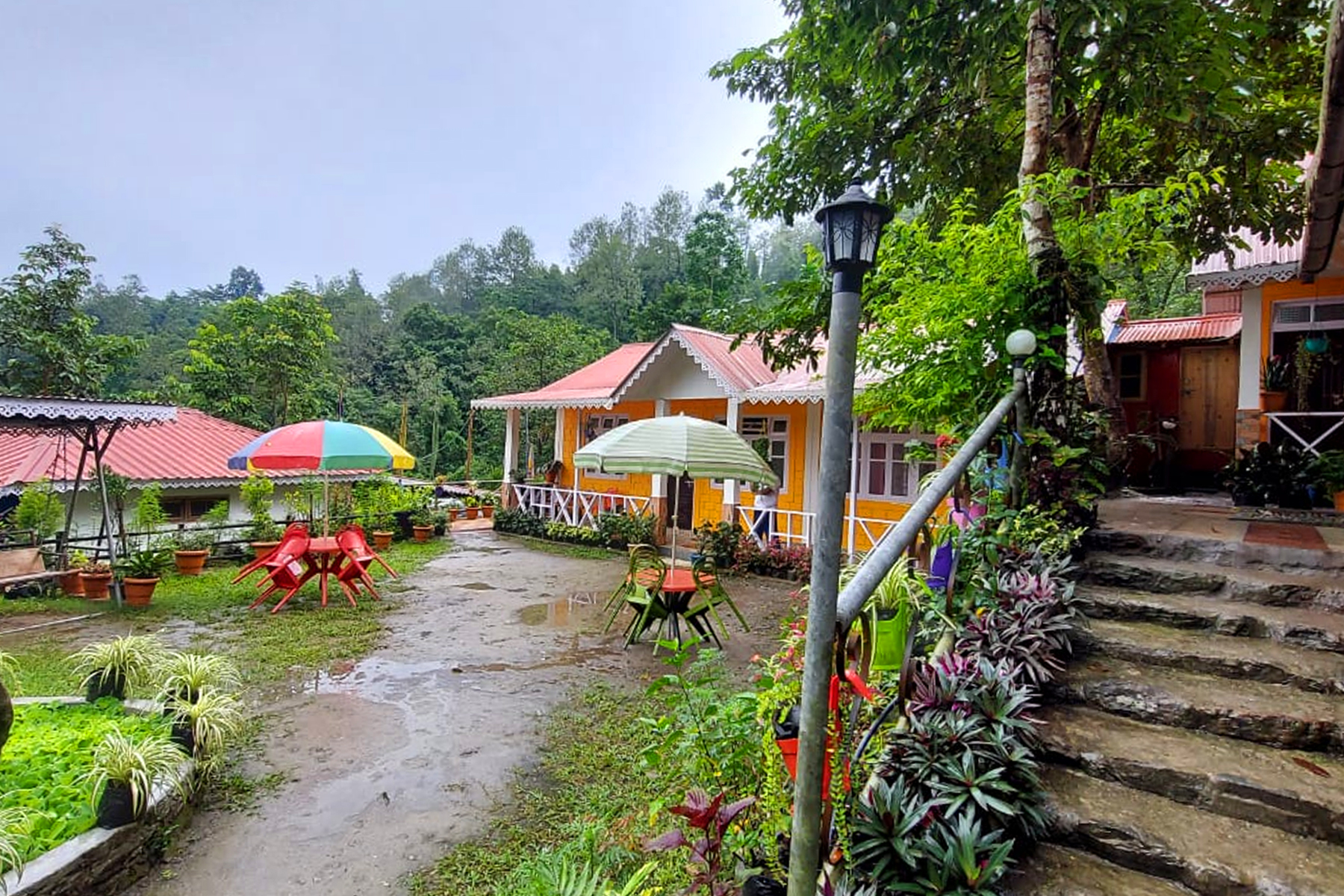 WhatsApp Image 2025-11-27 at 11.48.53 AM (2)