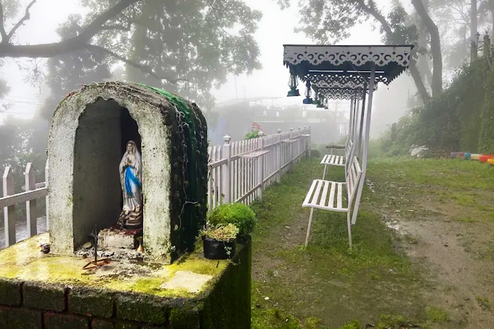 d9858d36-c361-4388-8fdf-f78a6bef6bed