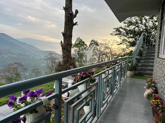 f6058034-2f31-48fe-80da-31bcdaca9818