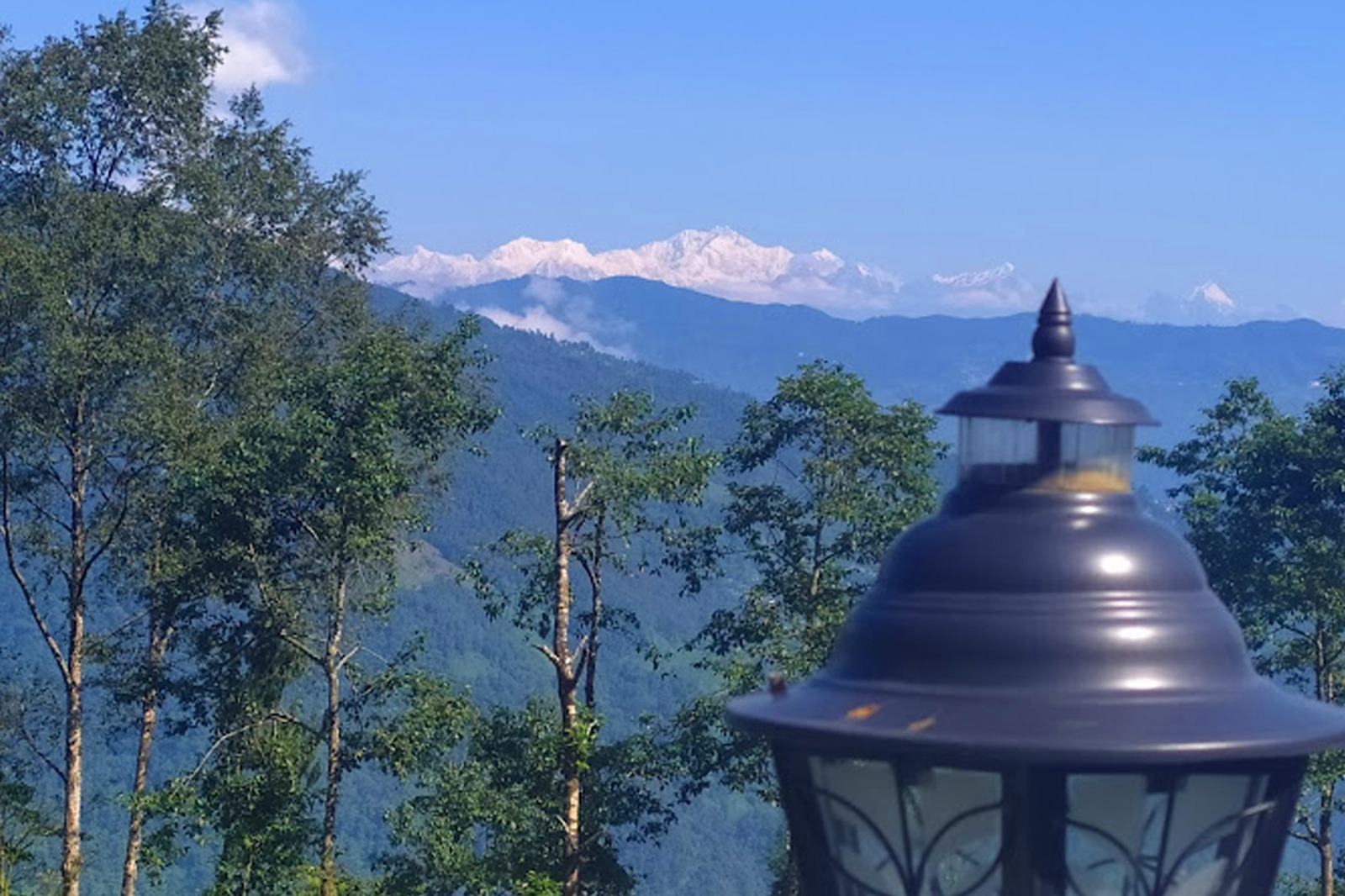 f7dfca93-8032-431f-a7a6-7d7407b95542